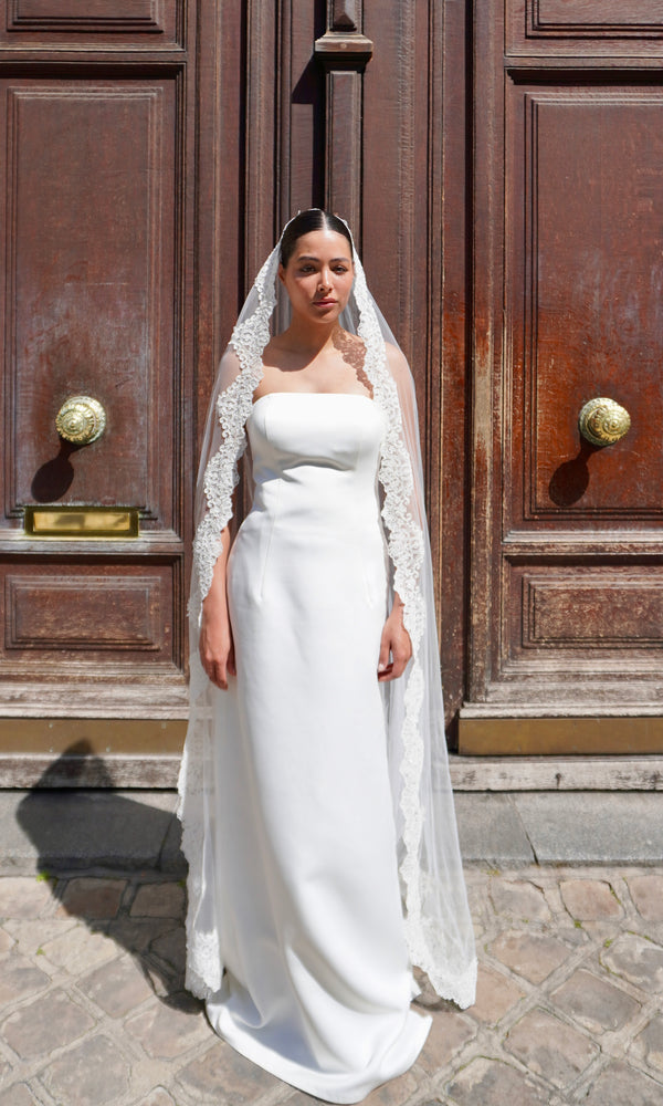 Lace Enchantment Border Veil