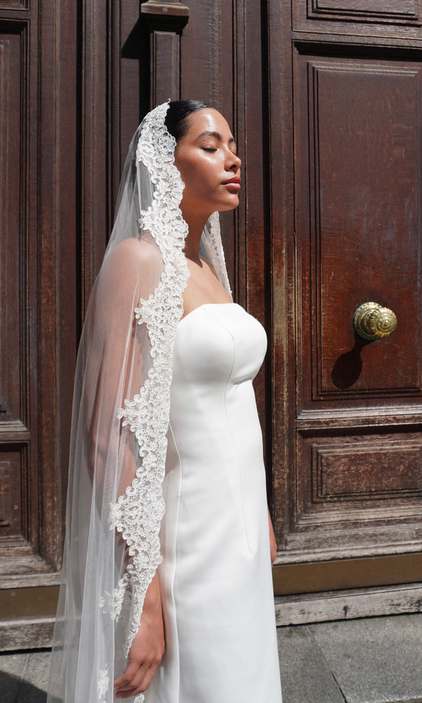 Lace Enchantment Border Veil