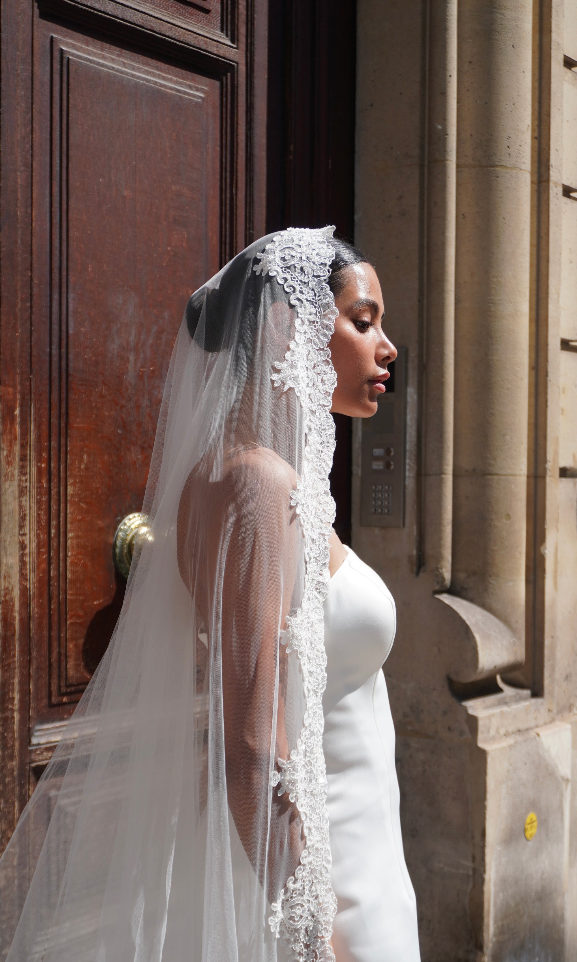 Lace Enchantment Border Veil